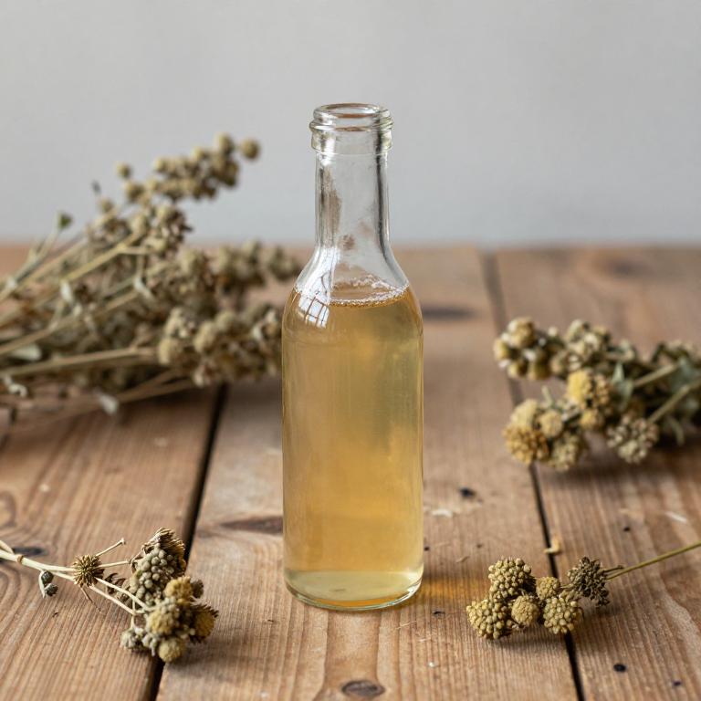 plantago lanceolata juice