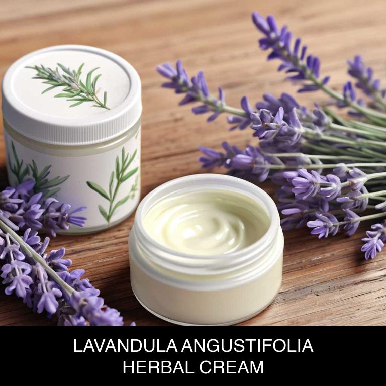 lavandula angustifolia herbal creams for gum-infection