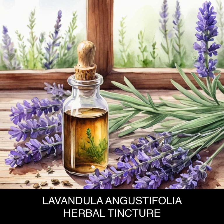 lavandula angustifolia herbal tinctures for frizzy-hair