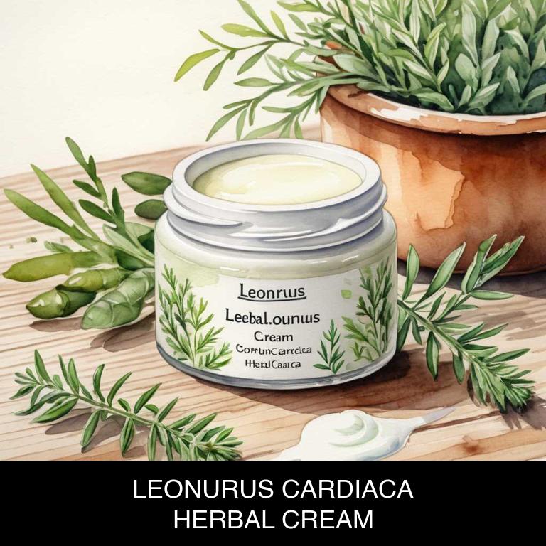 leonurus cardiaca herbal creams for insomnia