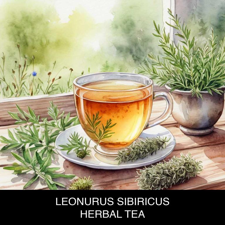 leonurus sibiricus herbal teas for anxiety