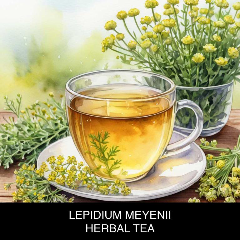 lepidium meyenii herbal teas for hyperthyroidism