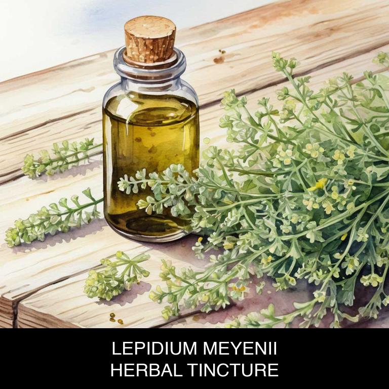 lepidium meyenii herbal tinctures for hypothyroidism