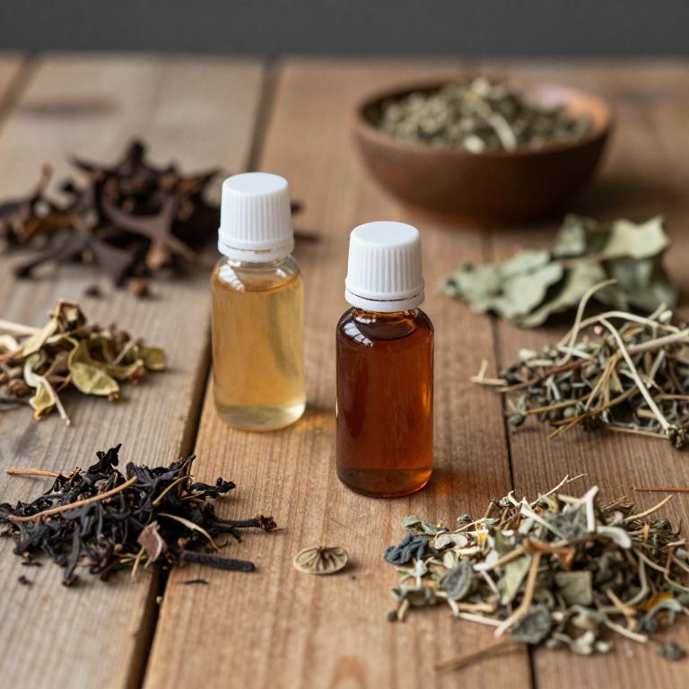 berberis vulgaris linctuse