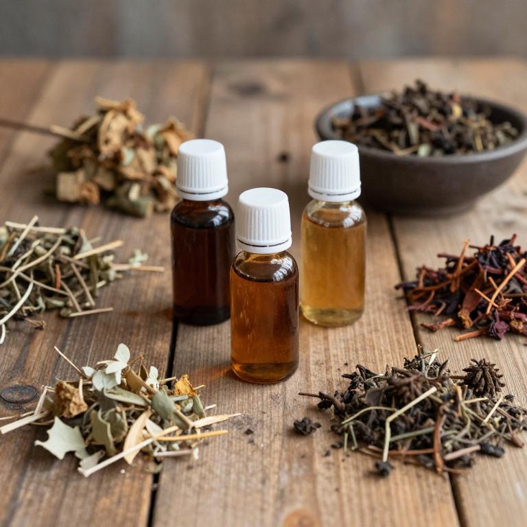 cupressus sempervirens linctuse