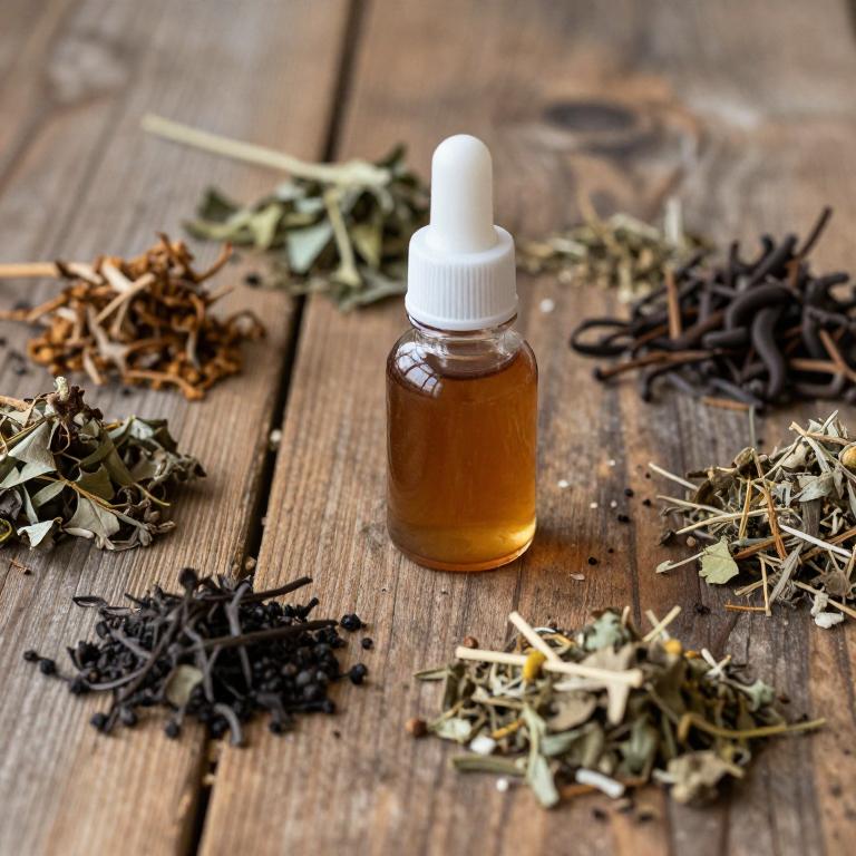 sambucus nigra linctuse