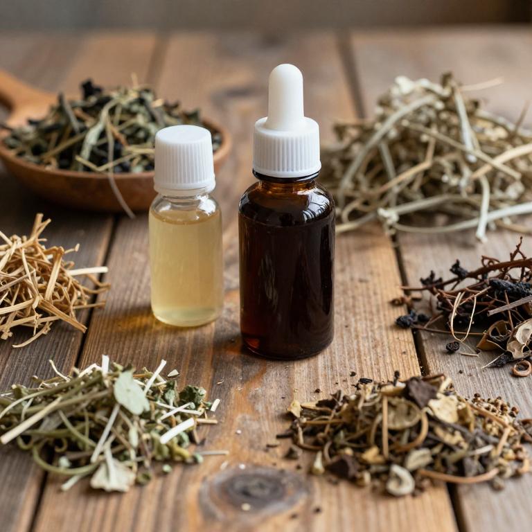 sanguinaria canadensis linctuse