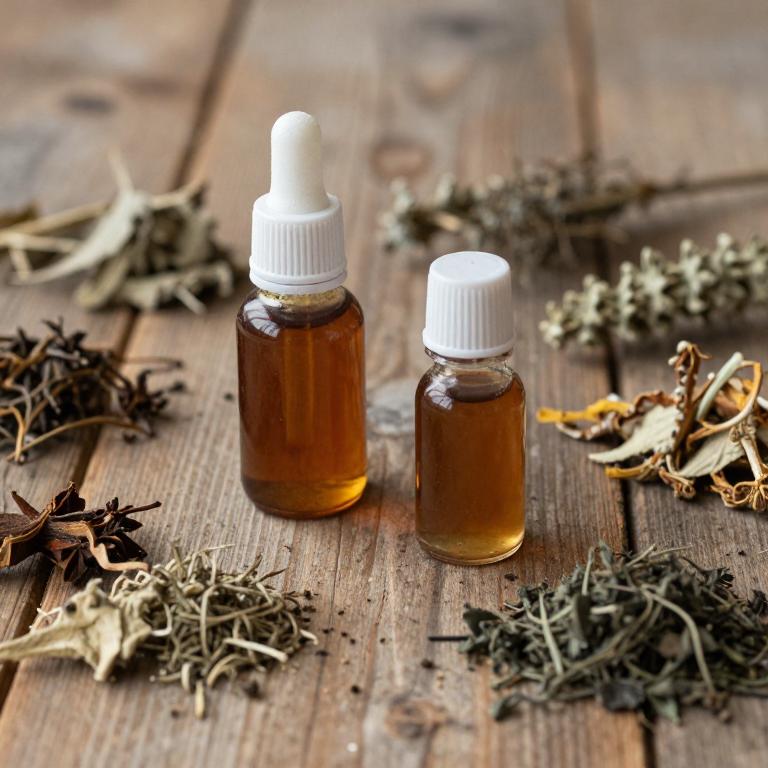 saponaria officinalis linctuse