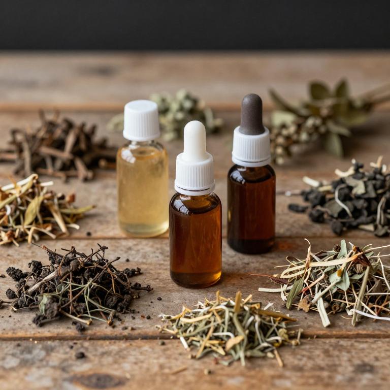 verbascum thapsus linctuse