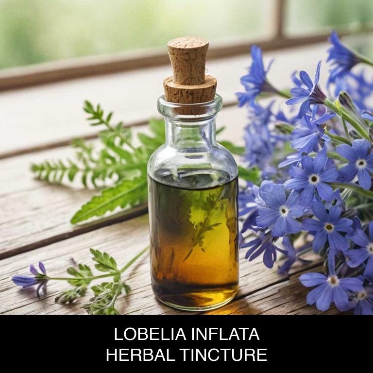 lobelia inflata herbal tinctures for hypothyroidism