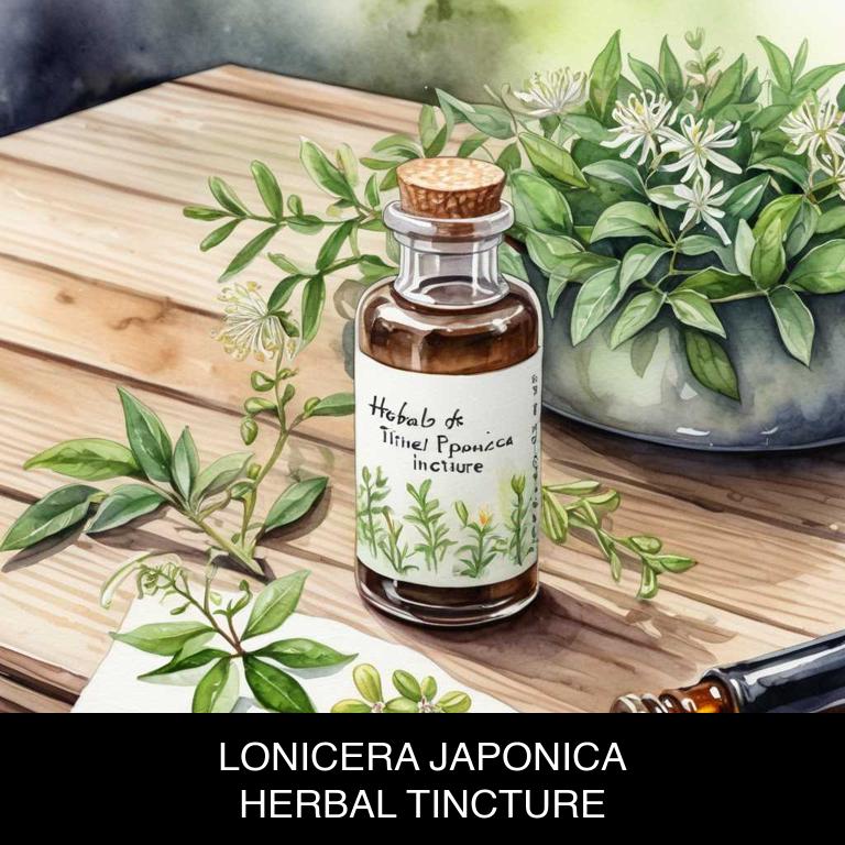 lonicera japonica herbal tinctures for lost-voice