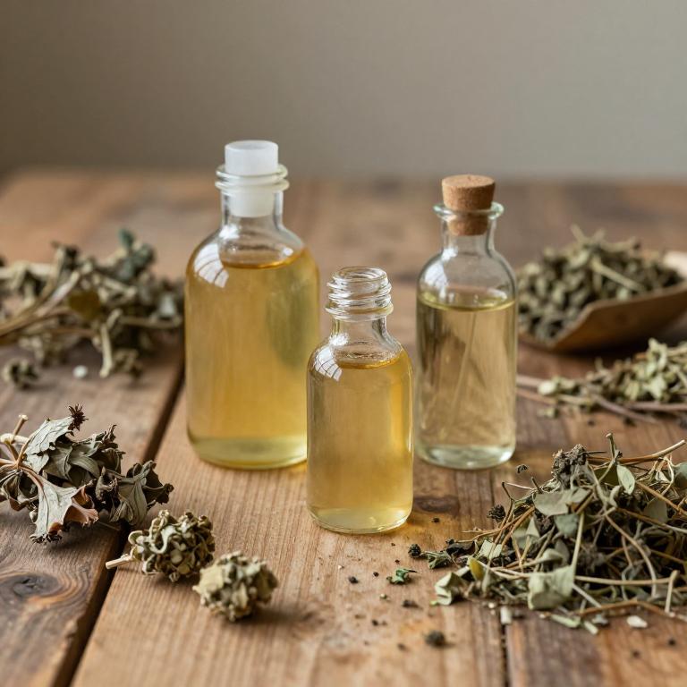 nepeta cataria lotion