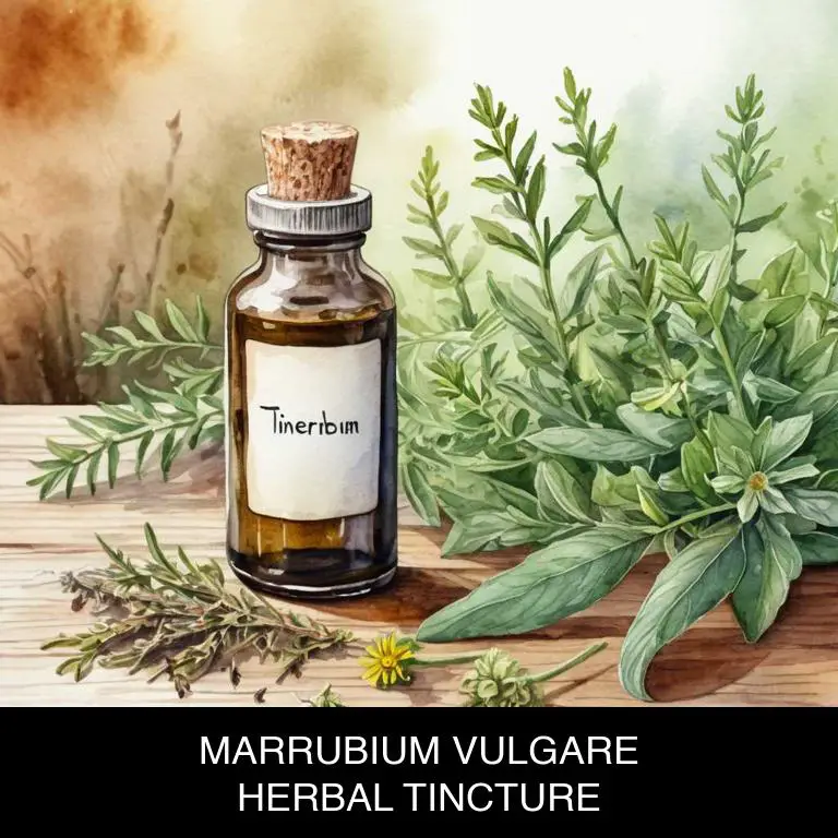 marrubium vulgare herbal tinctures for hiatus-hernia