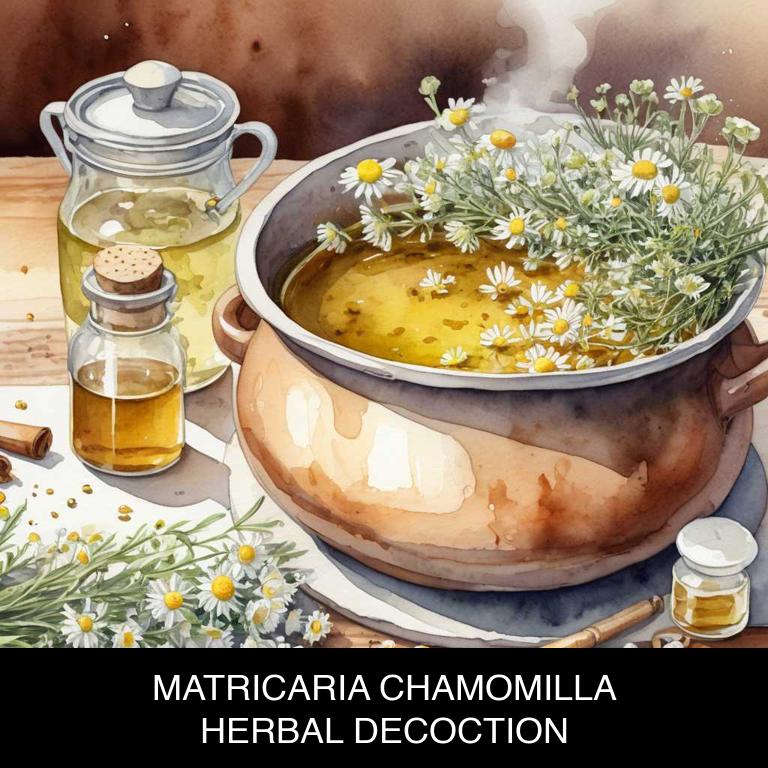 matricaria chamomilla herbal decoctions for itchy-eyes