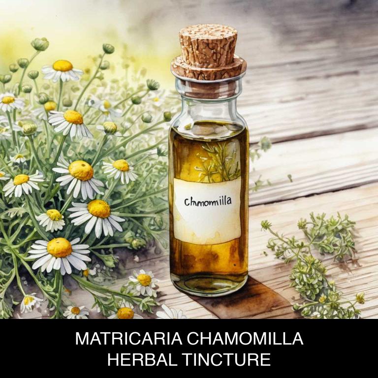 matricaria chamomilla herbal tinctures for sore-throat