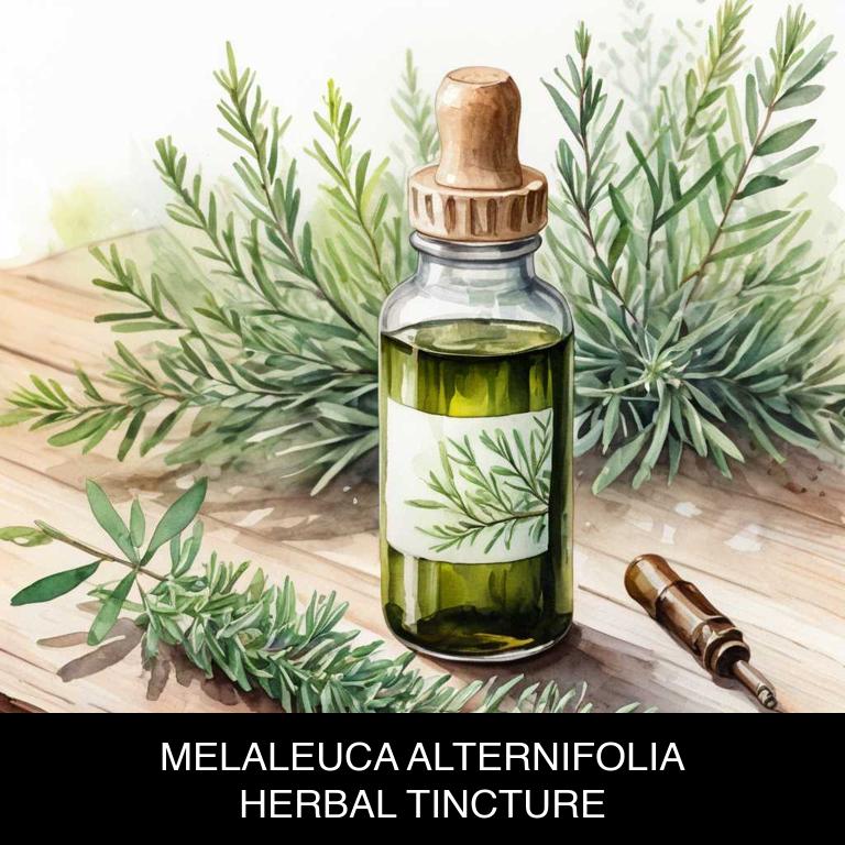 melaleuca alternifolia herbal tinctures for foot-odor