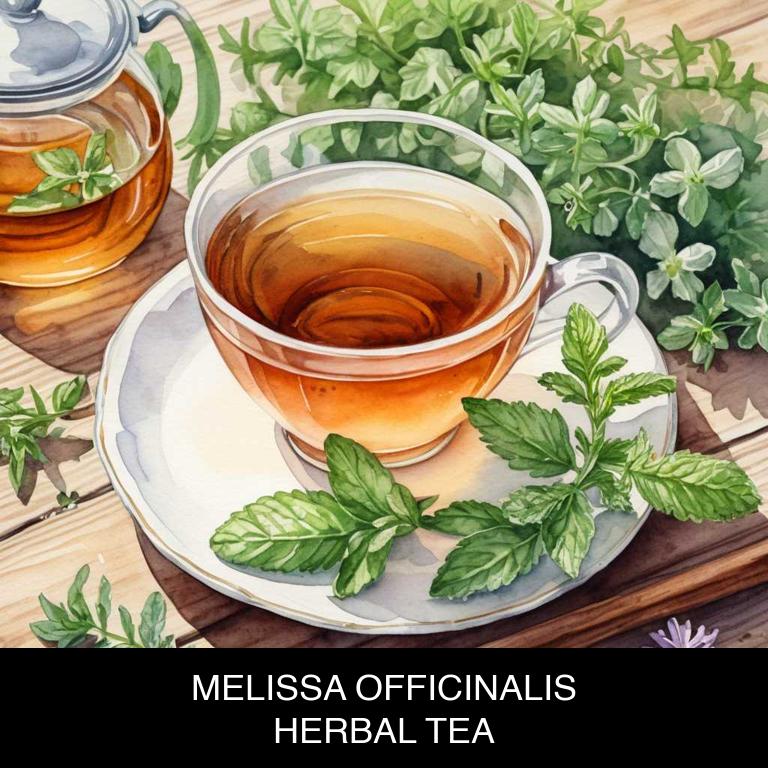 melissa officinalis herbal teas for mouth-bitter-taste