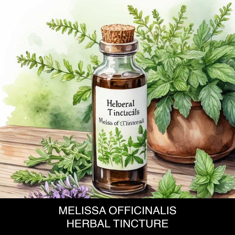 melissa officinalis herbal tinctures for anxiety