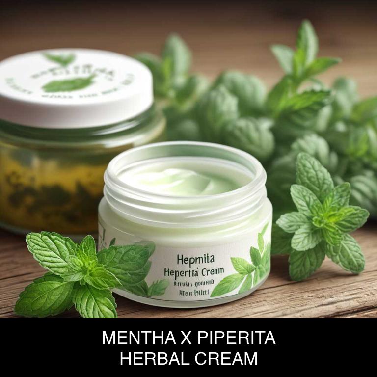 mentha x piperita herbal creams for mouth-ulcers