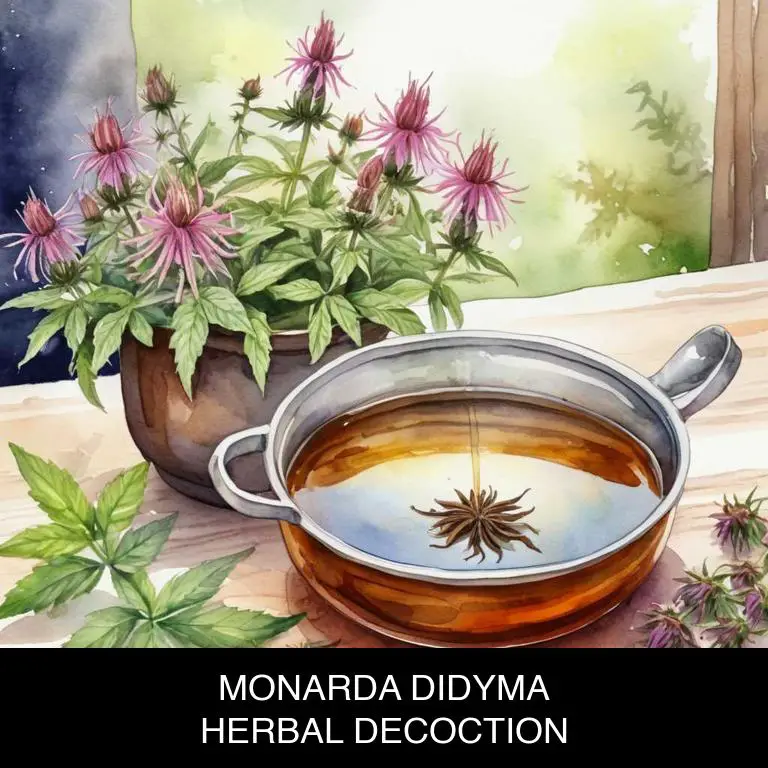 monarda didyma herbal decoctions for athlete-foot