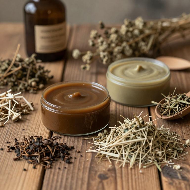 berberis aristata mucillage