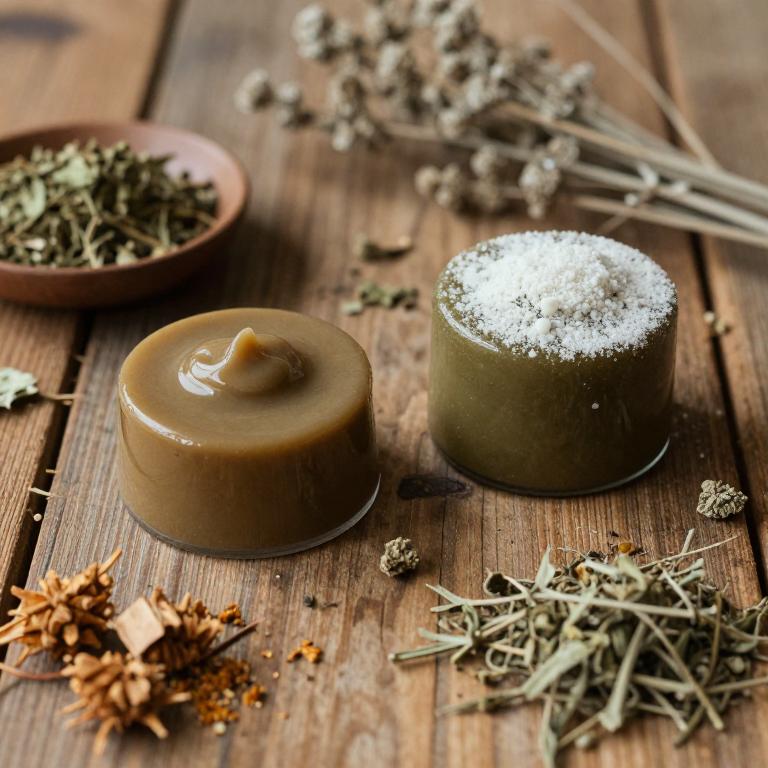 cinnamomum verum mucillage