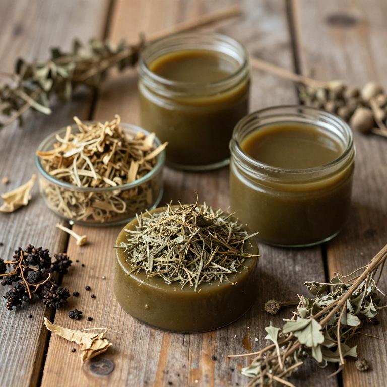 foeniculum vulgare mucillage