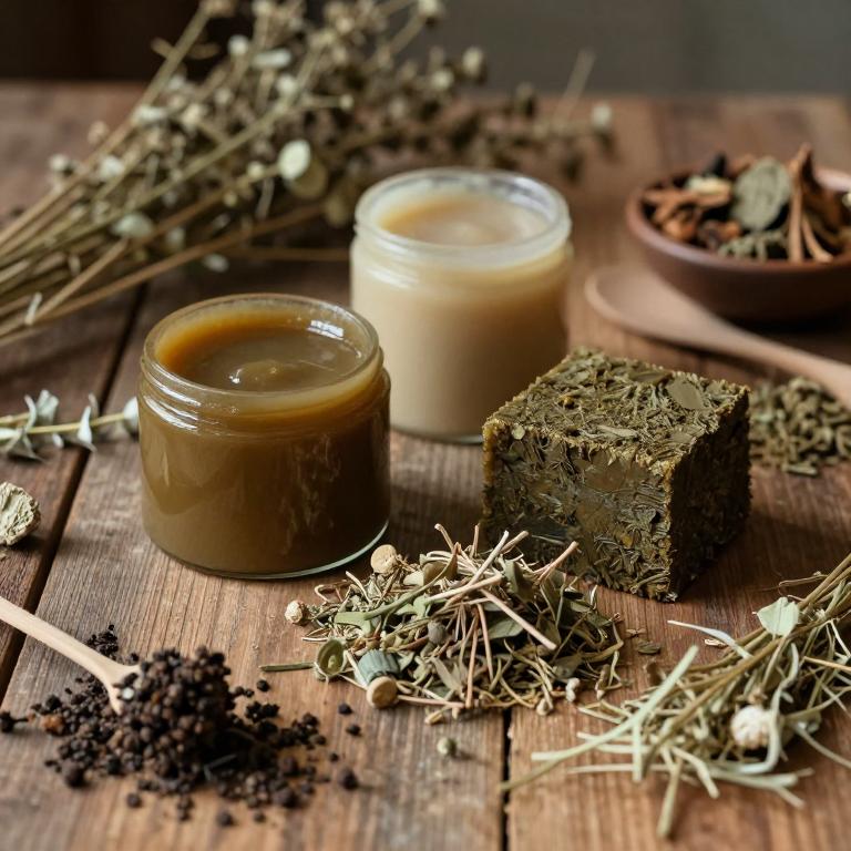 salvia miltiorrhiza mucillage