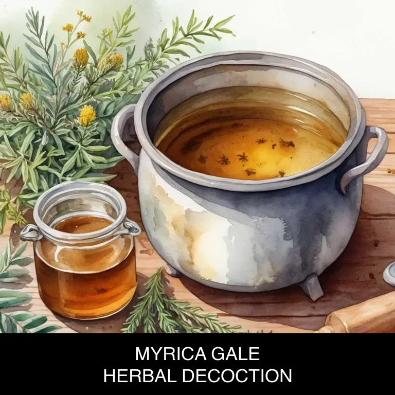 myrica gale herbal decoctions for leg-cramps