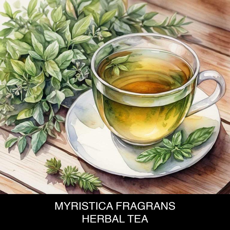 myristica fragrans herbal teas for flatulence