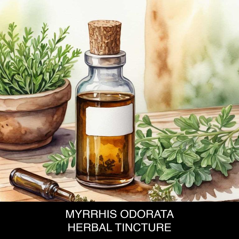 myrrhis odorata herbal tinctures for dry-mouth