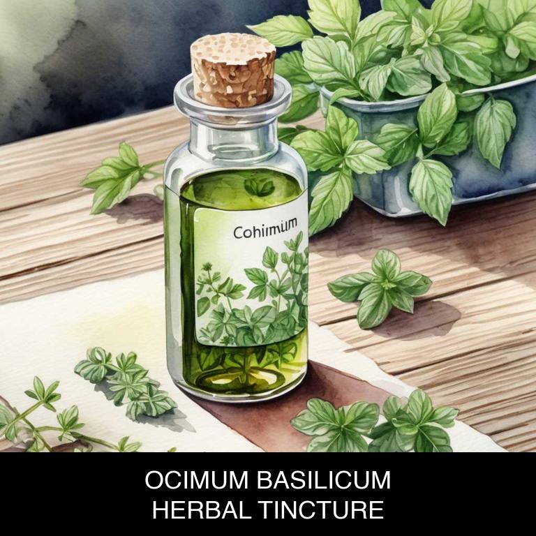 ocimum basilicum herbal tinctures for gum-infection