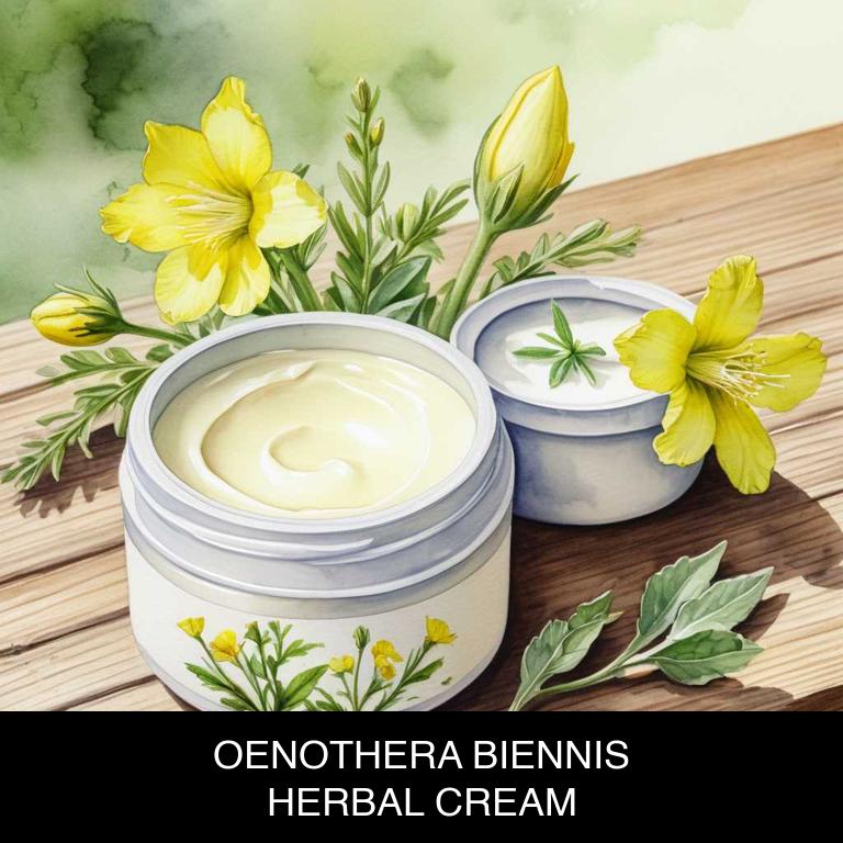 oenothera biennis herbal creams for menopause