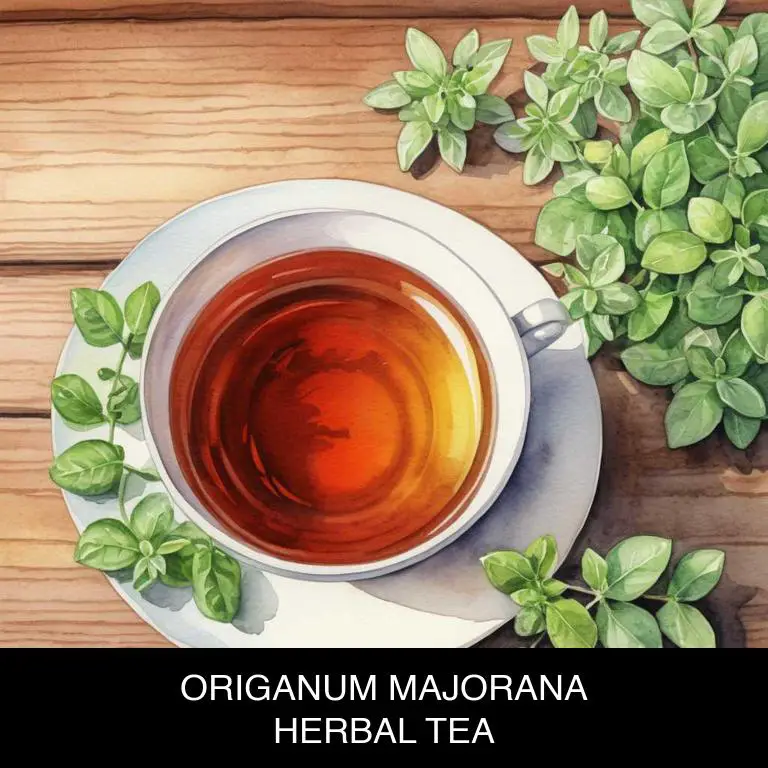 origanum majorana herbal teas for feverish-feeling