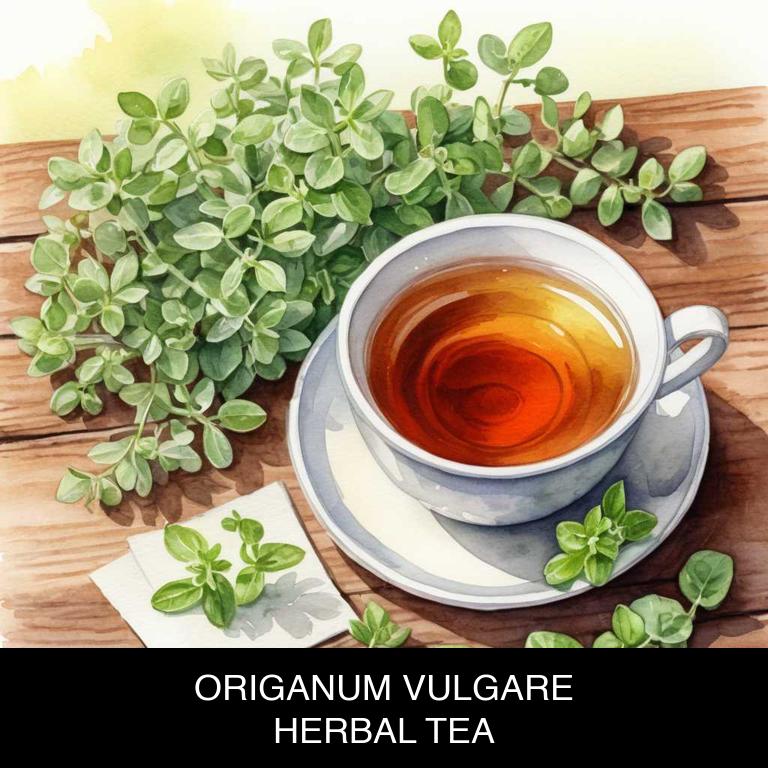 origanum vulgare herbal teas for gum-infection