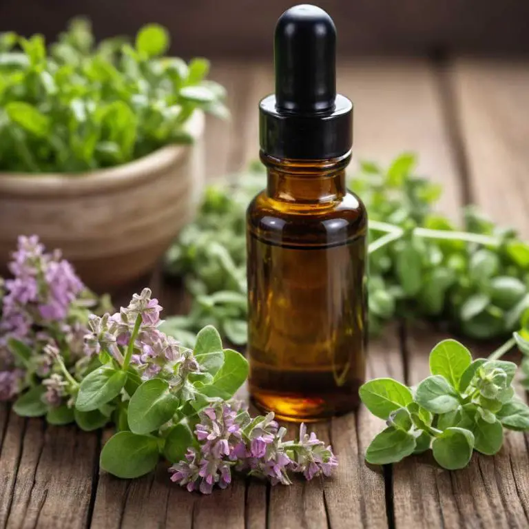 origanum vulgare herbal tinctures for fungal-skin-infection