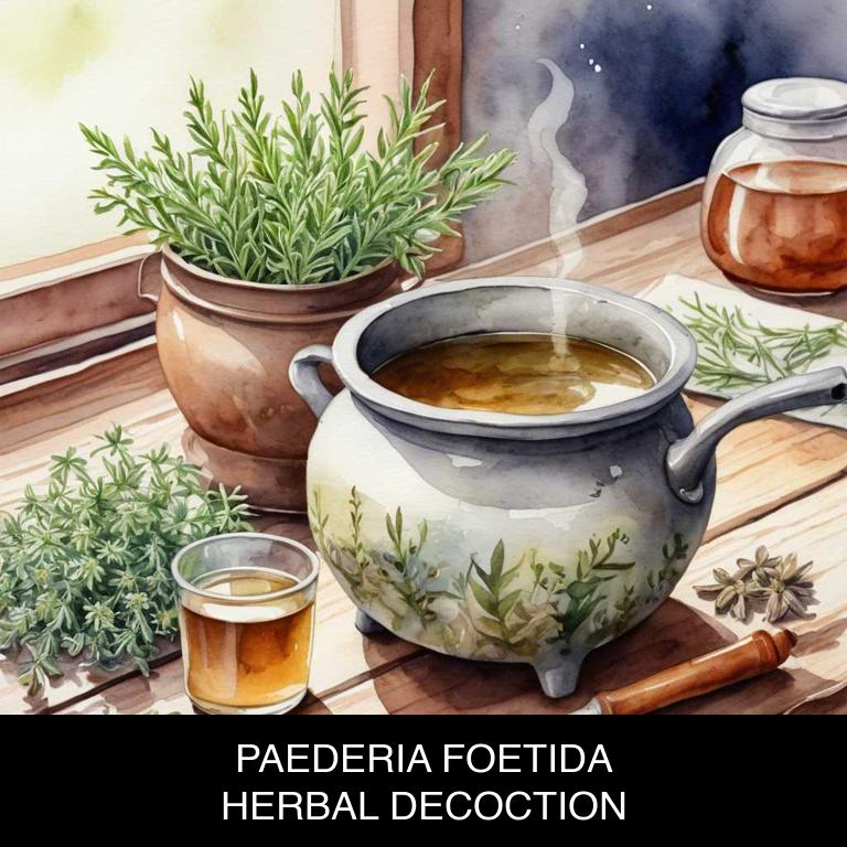 paederia foetida herbal decoctions for hormonal-imbalance