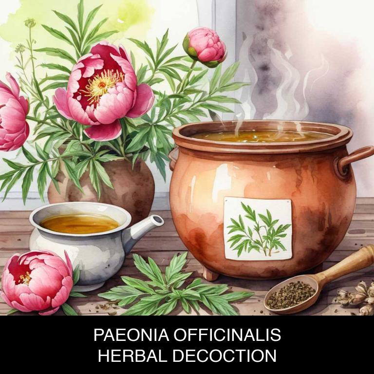 paeonia officinalis herbal decoctions for ovulation-pain