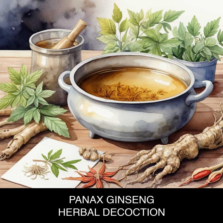 panax ginseng herbal decoctions for heart-pain