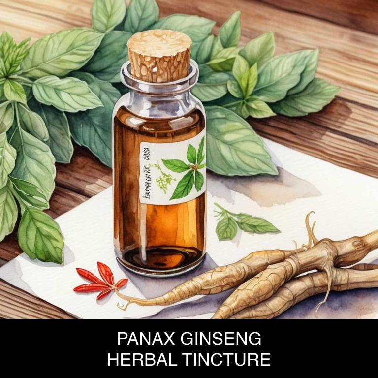 panax ginseng herbal tinctures for alzheimer-disease