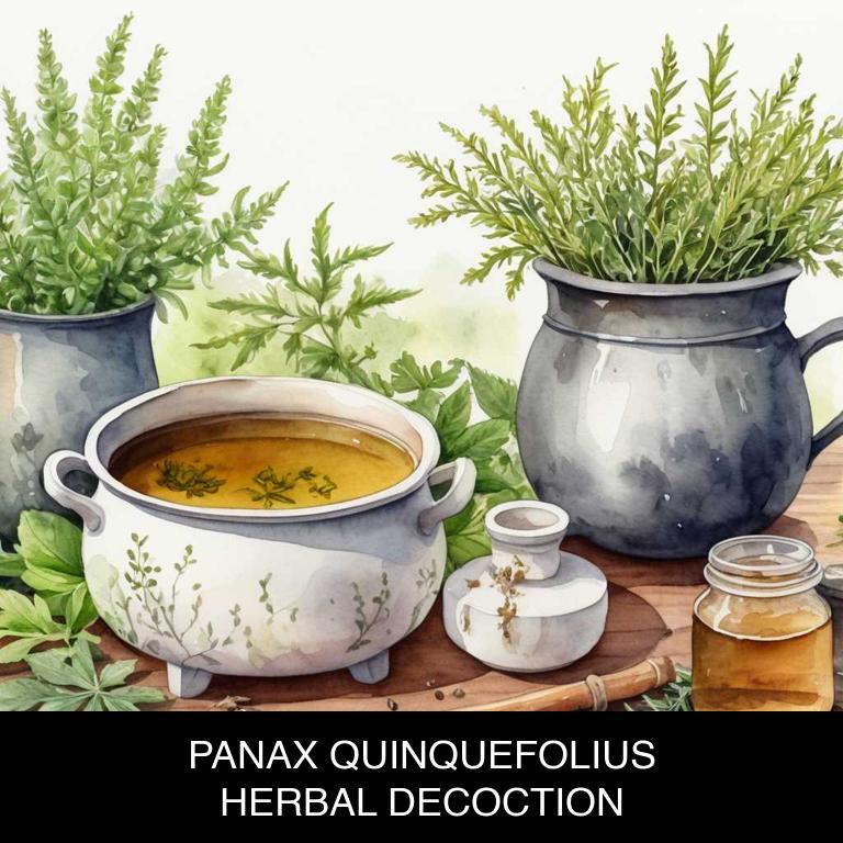 panax quinquefolius herbal decoctions for hair-fall