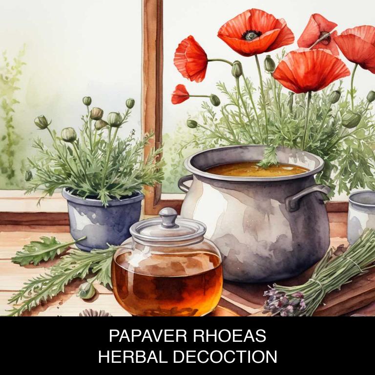 papaver rhoeas herbal decoctions for vaginitis