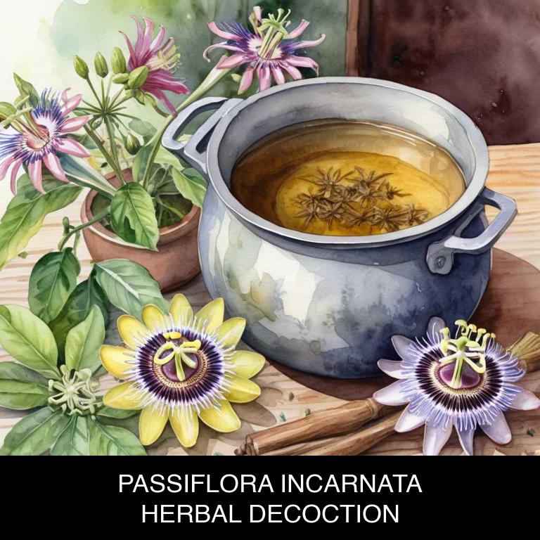 passiflora incarnata herbal decoctions for acid-reflux