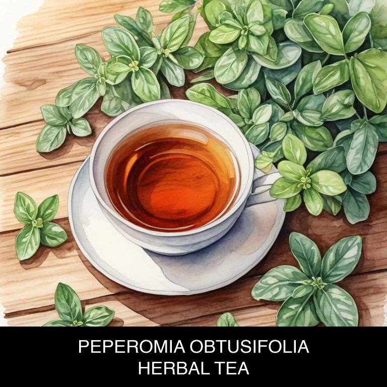 peperomia obtusifolia herbal teas for flatulence