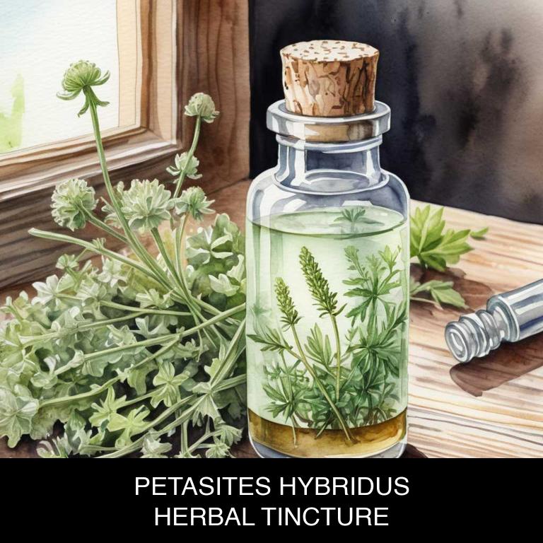 petasites hybridus herbal tinctures for hay-fever