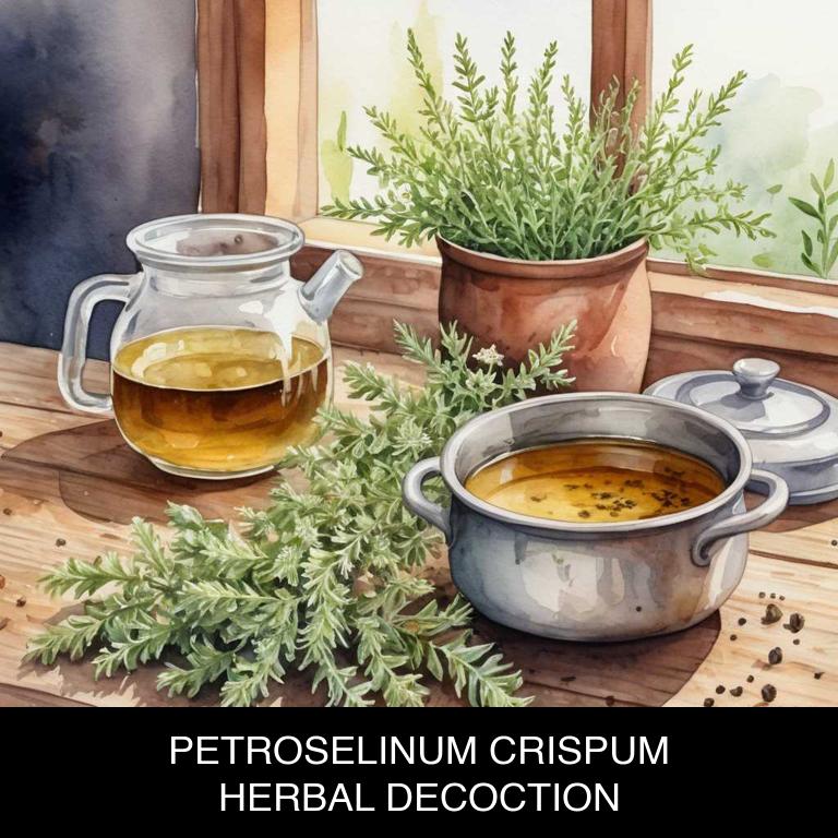 petroselinum crispum herbal decoctions for flatulence