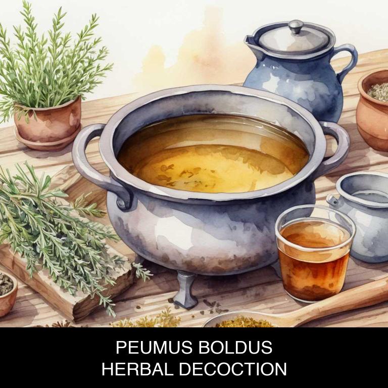 peumus boldus herbal decoctions for irritable-bowel-syndrome