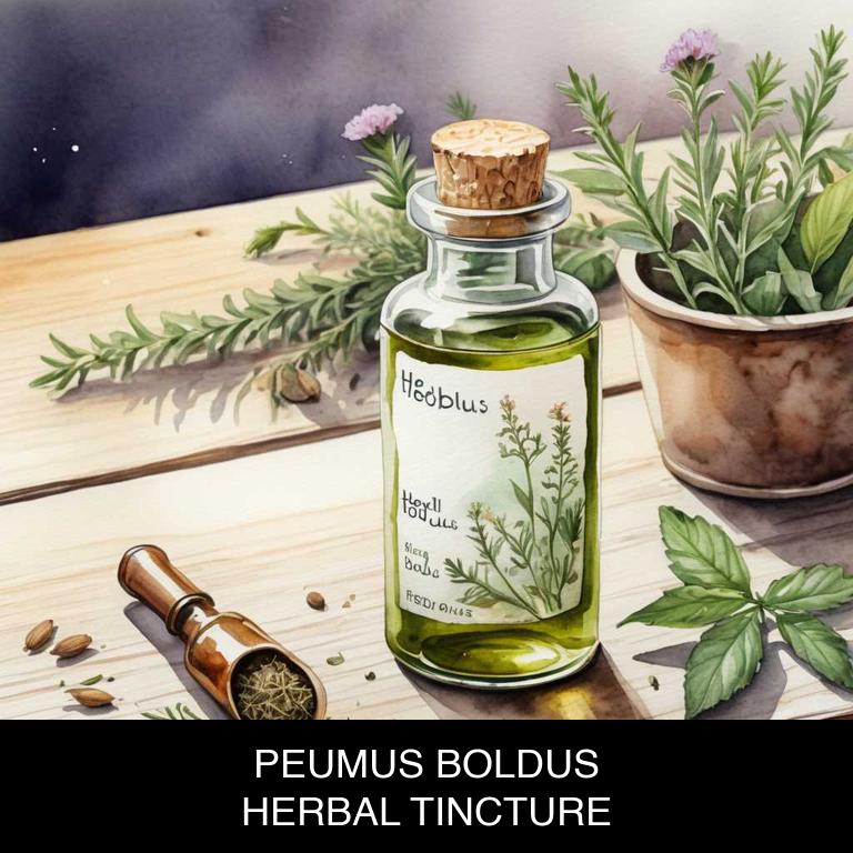 peumus boldus herbal tinctures for irritable-bowel-syndrome