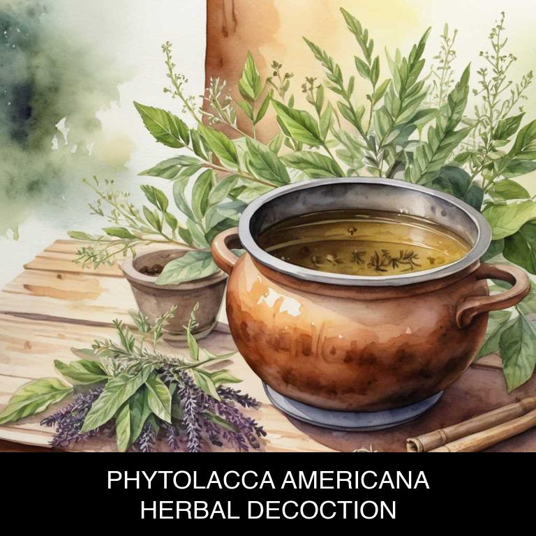 phytolacca americana herbal decoctions for hyperthyroidism