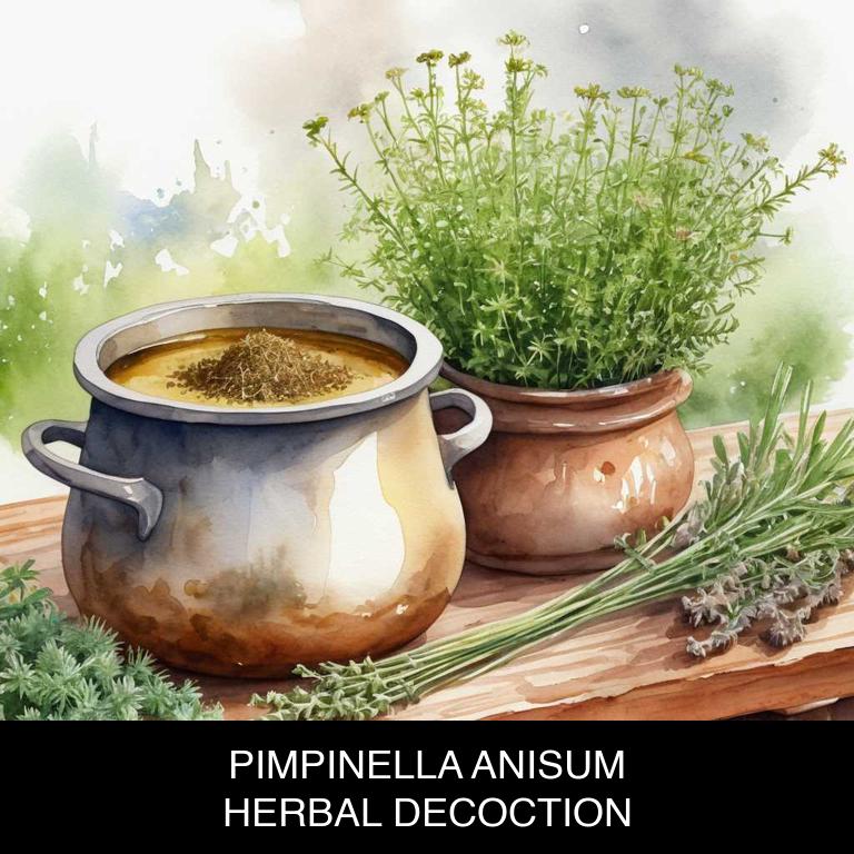 pimpinella anisum herbal decoctions for fibrocystic-breast-disease